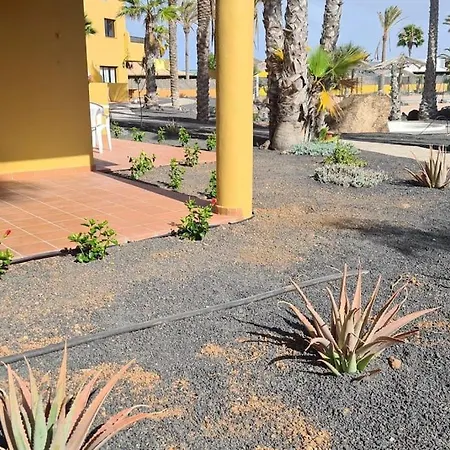 Apartment Beautiful Garden Flat Nearly Refurbished Free Wifi