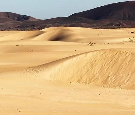 Beautiful Garden Flat Nearly Refurbished Free Wifi アパート *